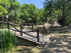 -白水寺森林公园