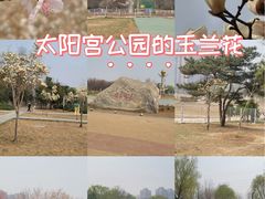 -太阳宫公园