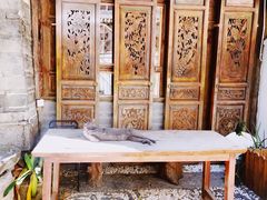 -喵屿·大理花园猫咖