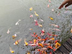 -泰安地下龙宫景区