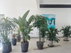 -和子足浴SPA会馆(东方之门店)