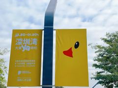 -深圳人才公园