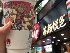 不知冬-茶颜悦色(登高路上店)