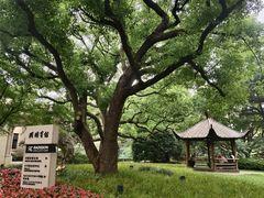 -上海兴国宾馆香樟园西餐厅