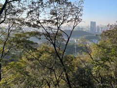 -岳麓山风景名胜区