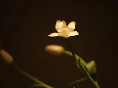 -见山茶事(丽水路店)