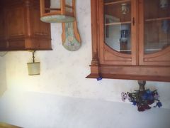 -金山农民画村-枫泾波兰倒置屋