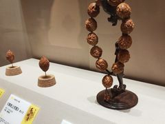 -苏州丝绸博物馆