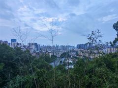 -金鸡山公园