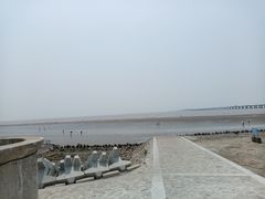 -南汇新城海滩