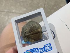 -湖南省地质博物馆