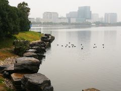 -上海滴水湖皇冠假日酒店