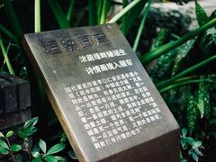 -泡桐树街