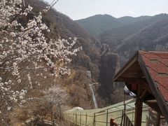-藏山旅游风景区