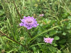 -白草畔自然风景区