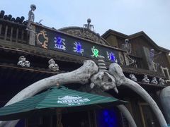 -厦门方特梦幻王国