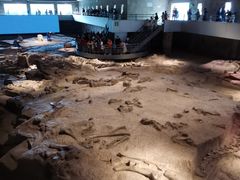 -自贡恐龙博物馆