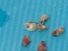 -牙博士口腔品牌连锁(杨浦店)