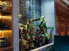 -泰适SPA馆丨精油·按摩·足道(后海地铁口店)