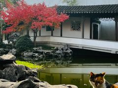 -秋霞圃