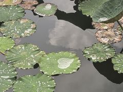 -建水文庙