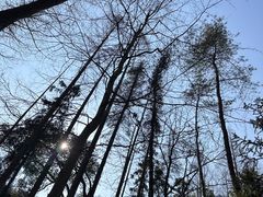 -东明山森林公园