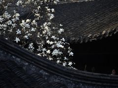 -何园