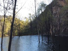 -辛玛王国游乐园