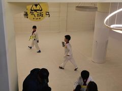 -勇气斑马·巴西柔术&跆拳道(浦东三林店)