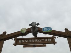 -君乐宝优致牧场