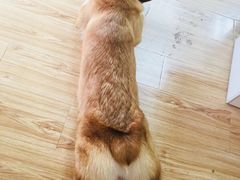 -韩通韩国语学院(虹口校区)