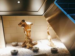 -川骄海鲜自助(亚运村店)