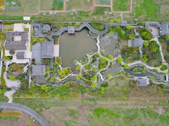 -上海滨江森林公园