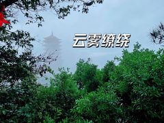 -缙云山景区
