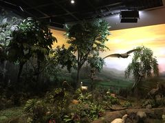 -陕西自然博物馆