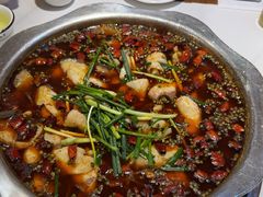 -乡土特色.冷锅鱼.牦牛肉汤锅