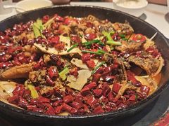 -老板恋上鱼(高新万达店)