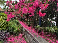-顺峰山公园