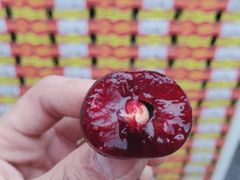 -双福水果批发市场