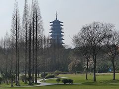 -宜兴龙背山森林公园