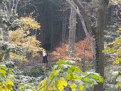 -穹窿山景区