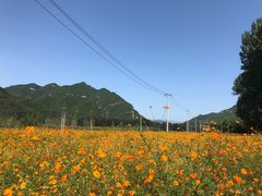 -百里山水画廊乌龙峡谷