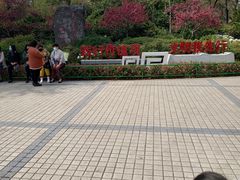 -洛阳市牡丹公园