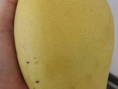-九里香奶茶果汁(碧湖店)