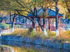 -月湖风景区