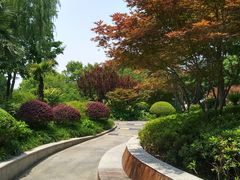 -兰溪青年公园