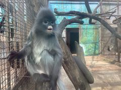 -昆明动物园