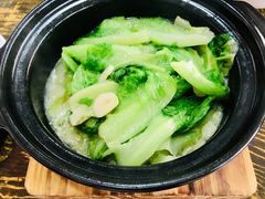 啫啫腐乳生菜煲-冯姐生蚝(迎宾广场店)