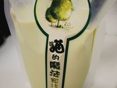 -猫的魔法密林(衣裳街店)