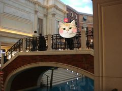 -澳门威尼斯人综合度假区